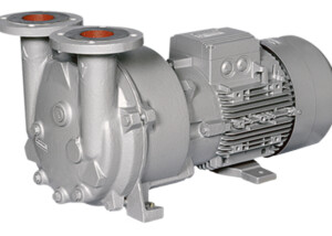 L BV5 liquid ring vacuum pump