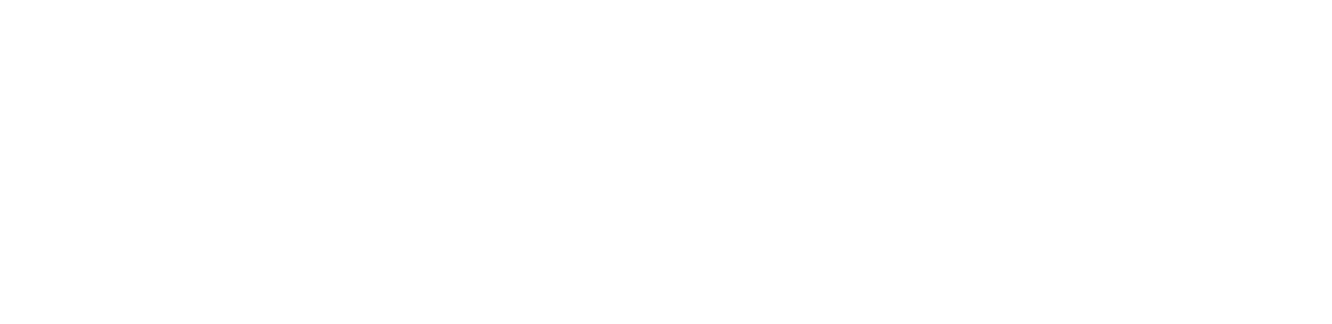 Elmo-Rietschle